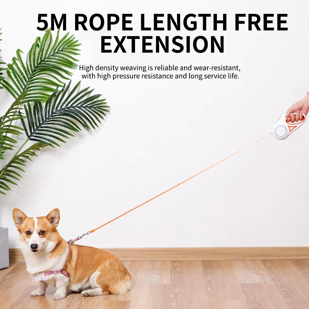 Retractable Leash with Light System