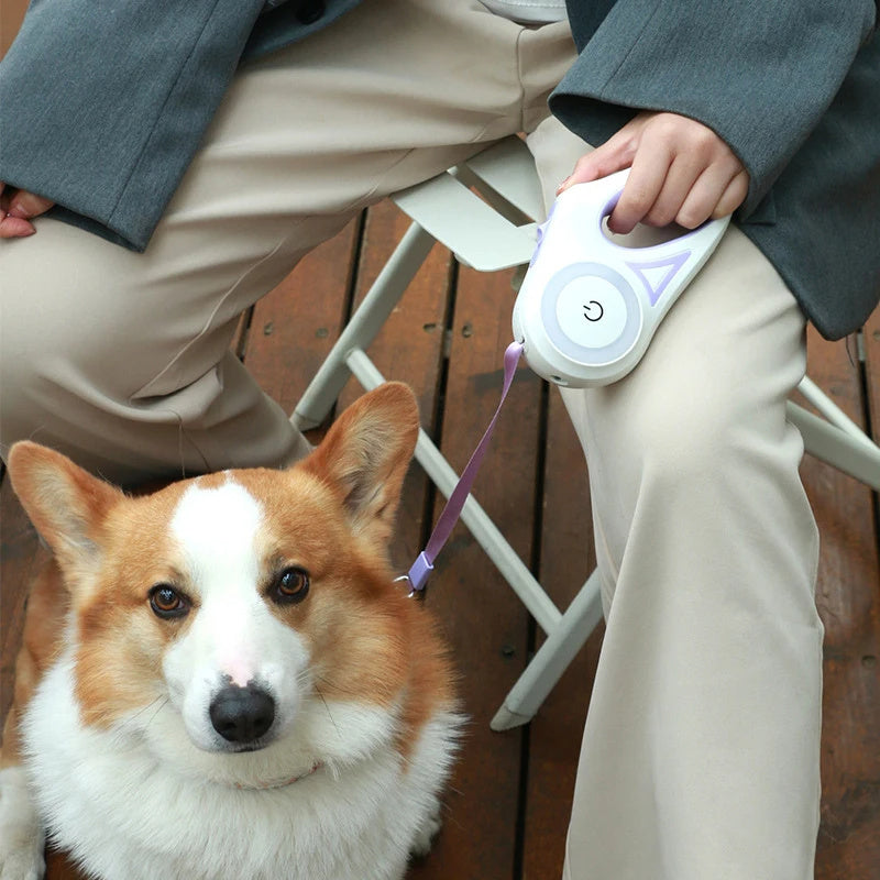 Retractable Leash with Light System