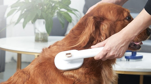 The Ultimate Guide to Pet Grooming: Tips, Techniques, and Essential Tools